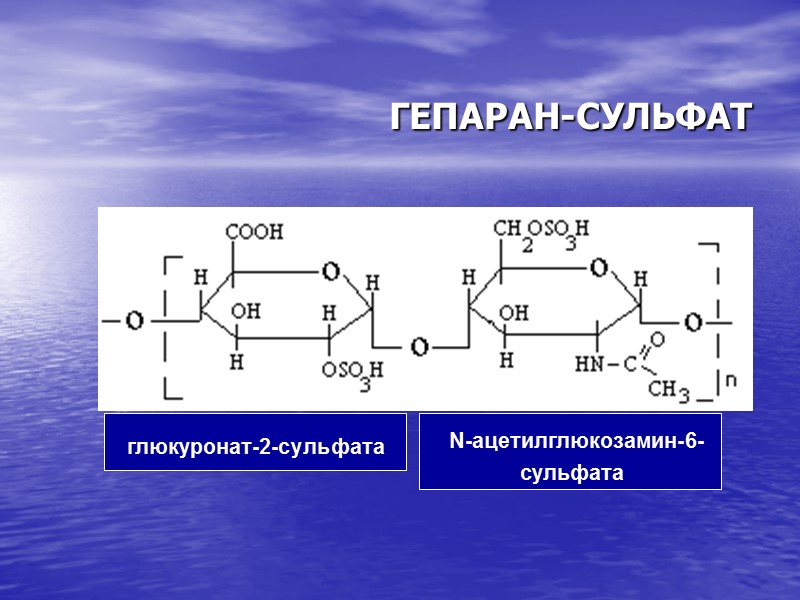 ГЕПАРАН-СУЛЬФАТ   глюкуронат-2-сульфата    N-ацетилглюкозамин-6- сульфата